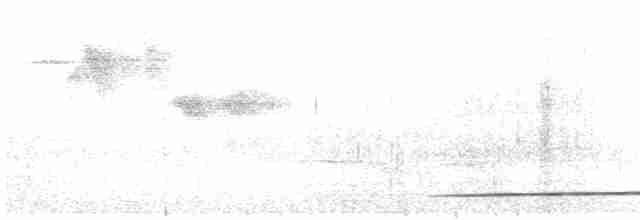 Mosquitero de Whistler - ML495322551