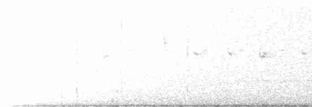 Ожереловая серпогрудка (torquata/rufescens) - ML495373871