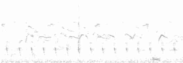 Serra Karıncakuşu (serrana/interposita) - ML495387131