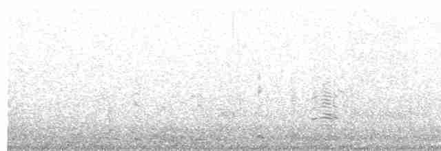 אווז לבן-מצח - ML495393211