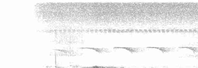 Schwarzschnabel-Ameisenvogel - ML495435741