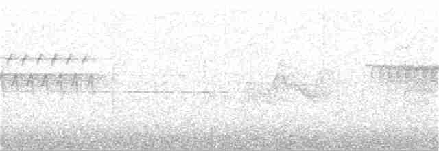 Esmer x Bicknell Bülbül Ardıcı - ML49546571