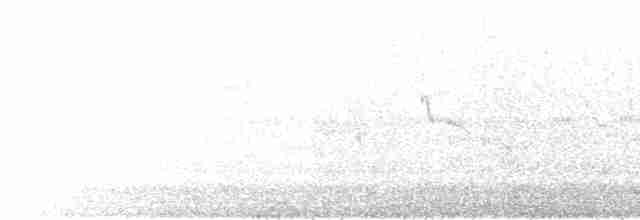 Rostflanken-Brillenvogel - ML495545461
