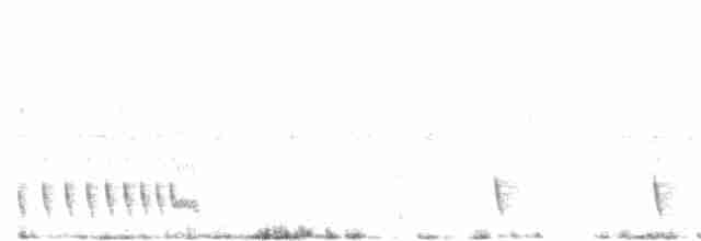 Indian Nightjar - ML495565711