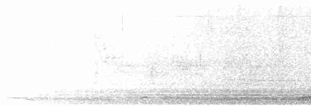 Gray-streaked Flycatcher - ML495576961