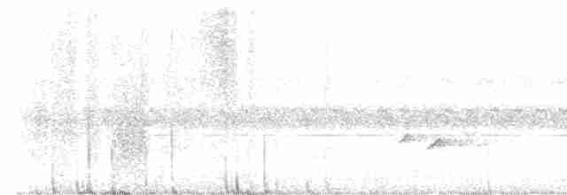Gray-crowned Crocias - ML495634101