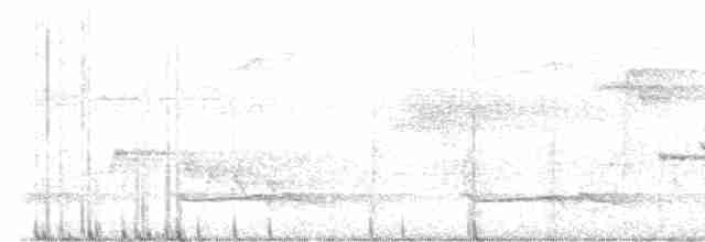 Полосатый зимородок - ML495634871