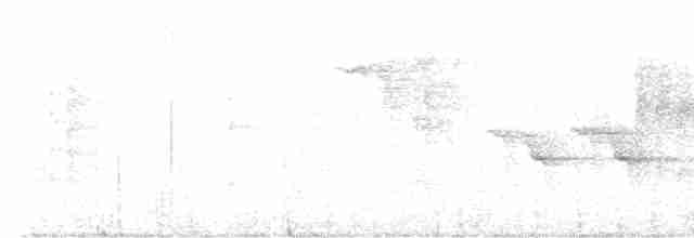 Papamoscas Indochino - ML495640061