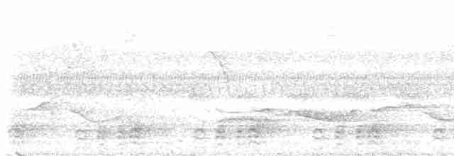 Malabar Gray Hornbill - ML495668611