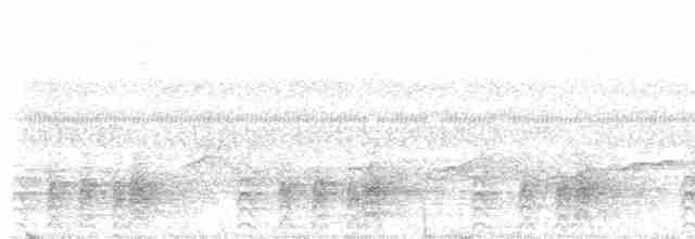 Malabar Gray Hornbill - ML495669481