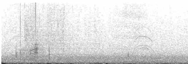 Ibis à face blanche - ML495714971