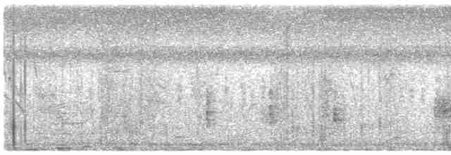 Clamorous Reed Warbler - ML495816471