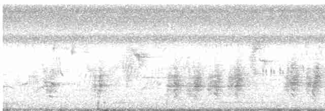 Clamorous Reed Warbler - ML495867281