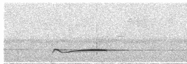 Fan-tailed Cuckoo - ML49587151