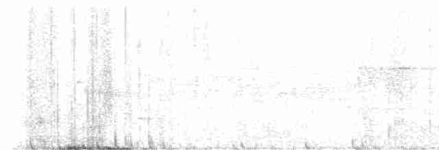 Gray-bellied Tesia - ML495903511