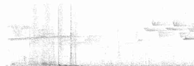 Gray-throated Babbler - ML495903531