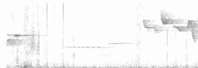 Скриточуб гімалайський - ML495903731