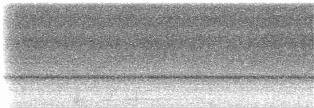 Kısa Gagalı Kızılca Güvercin - ML49591171