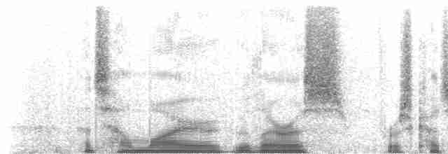 ML49593331 visualization