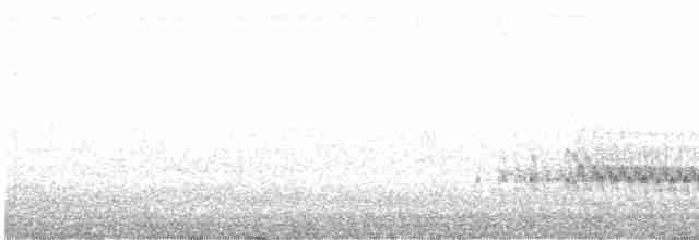 Gray-breasted Crake - ML495996341