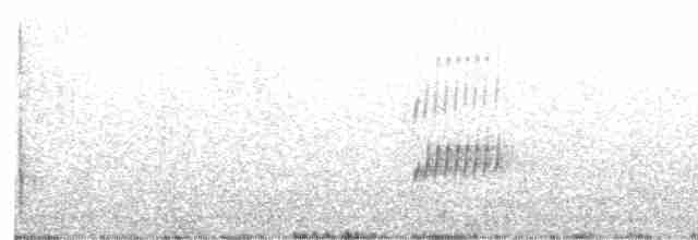 Kulaklı Küçük Tiran - ML496084871