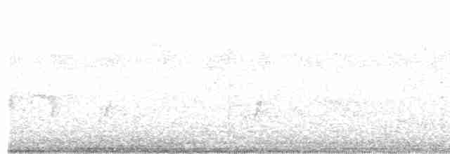 Azure-shouldered Tanager - ML496086441