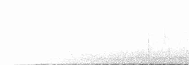 Pasifik Koeli (cyanocephalus/subcyanocephalus) - ML496102961