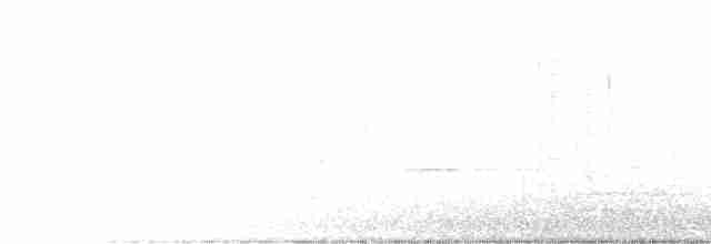 Al Küpeli Balkuşu - ML496127211