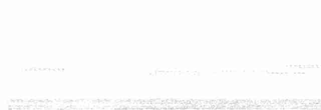 Желтобрюхий дятел-сокоед - ML496201651