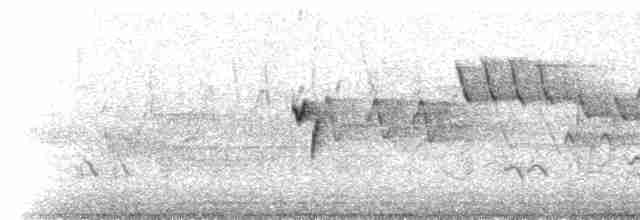 ML49622191 visualization