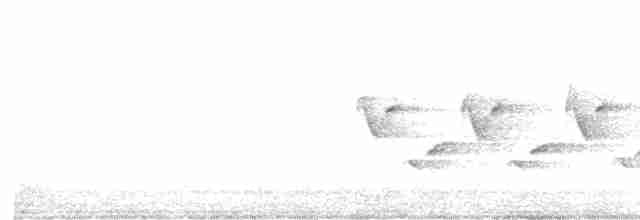 Каролинский крапивник - ML496228961