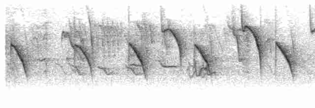Gri Tepeli Baştankara - ML496230171