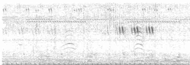 Сова-голконіг далекосхідна - ML496261391