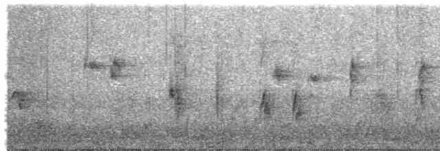 Mirlo Acuático Europeo - ML496268191