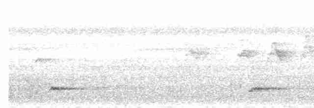 Black-eared Barbet - ML496281601