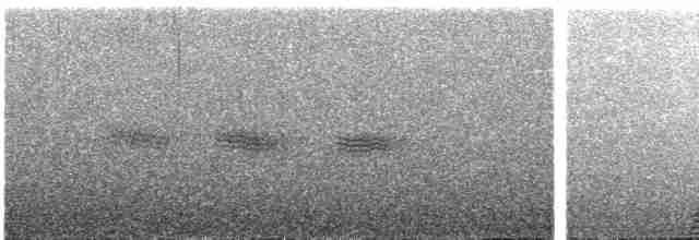 Mirlo Acuático Coroniblanco - ML496295921