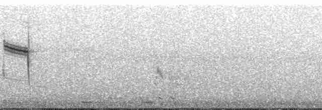 svarttøylegressanger - ML49643