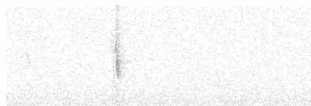 Сероголовый беседочник - ML496525491