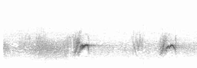 Пестрогорлая юхина - ML496526751