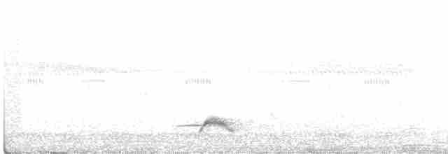 Black-streaked Scimitar-Babbler - ML496527971