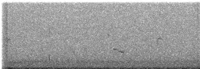 Great Gray Shrike (Great Gray) - ML496559431