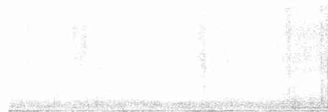 Ring-necked Pheasant - ML496661361