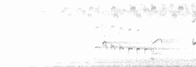 orel bělohlavý - ML496728231