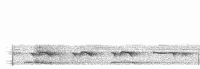 Полосатый зимородок - ML496740621