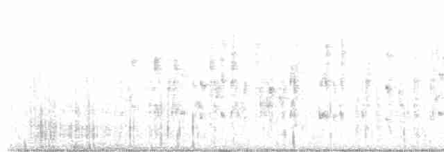 Troglodyte des marais - ML496775701