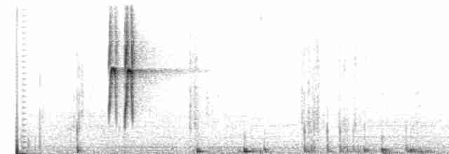 Strichelkopf-Ameisenfänger - ML496862021