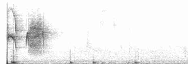 Strichelkopf-Ameisenfänger - ML496862031