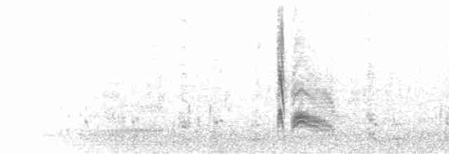 Серогрудый тиранн - ML496883911
