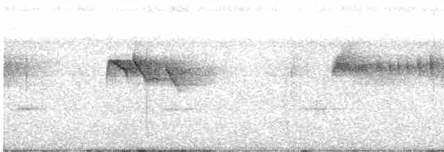 Серпокрилець-вилохвіст малий - ML496886511