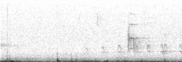 Каролинский крапивник - ML49690551